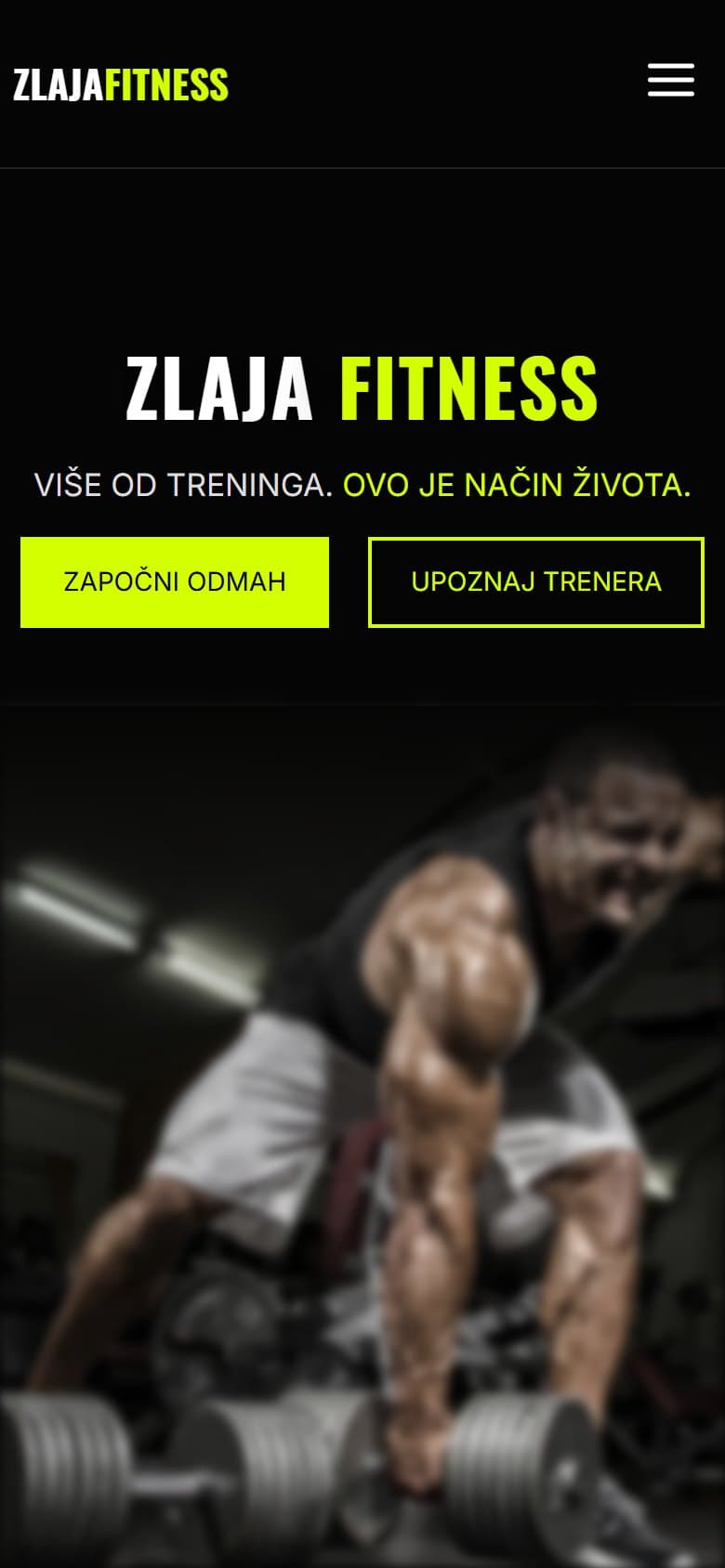 Sajt Zlaja Fitness – prikaz na telefonu